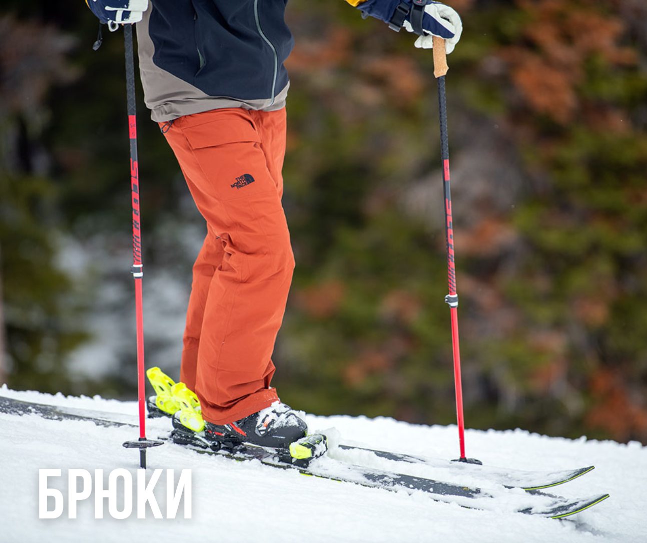 горнолыжные брюки для взрослых